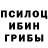 Галлюциногенные грибы GOLDEN TEACHER Vani1ka __