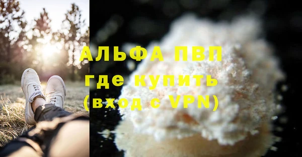 сатива Заводоуковск