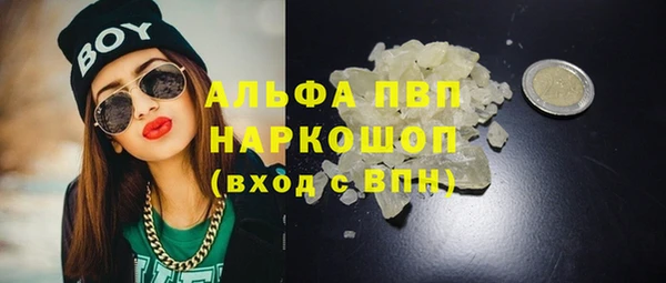 сатива Заводоуковск