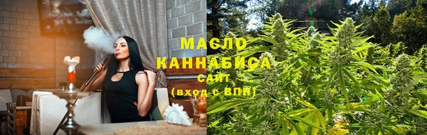 сатива Заводоуковск