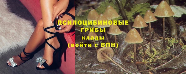 дмт Заволжск