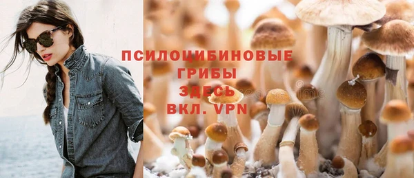 сатива Заводоуковск