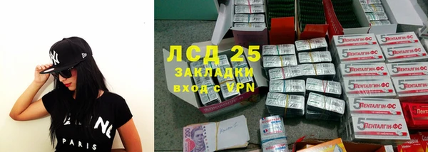 сатива Заводоуковск