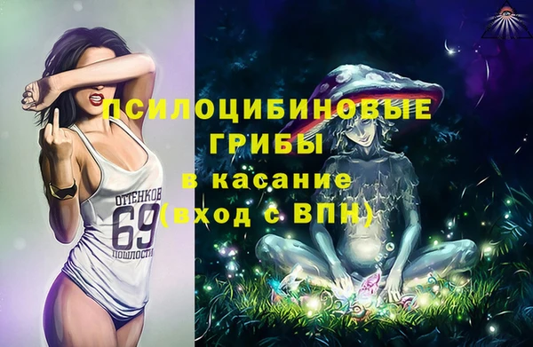 сатива Заводоуковск